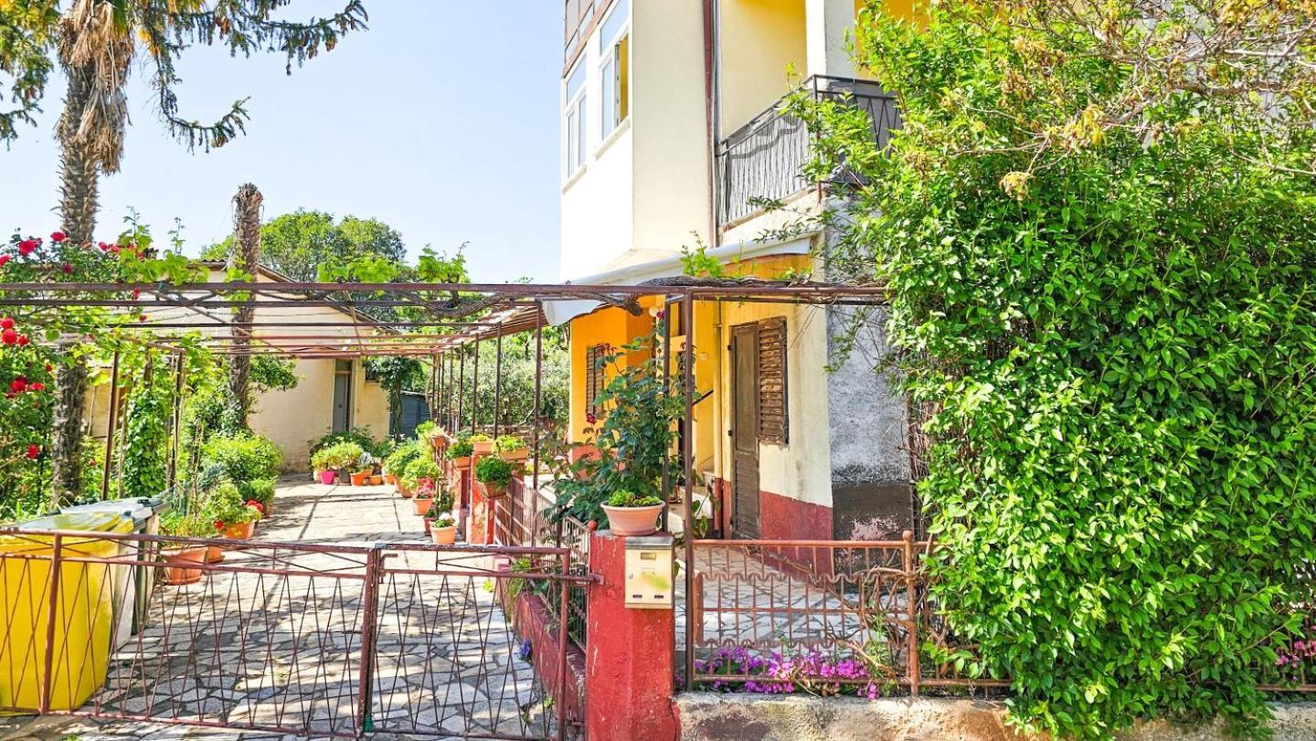 Stelia F. Appartement Novigrad Istria Buitenkant foto